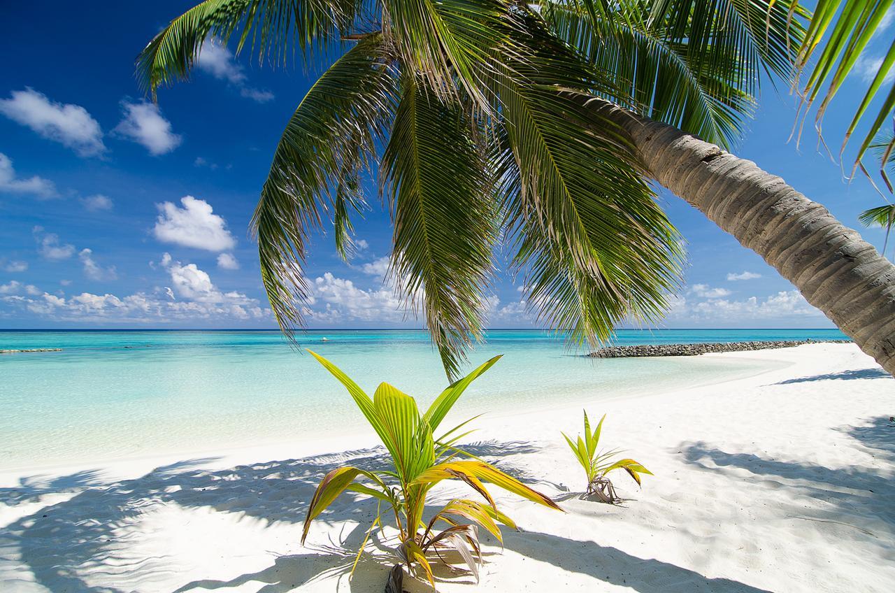 Station touristique Summer Island Maldives Reethi Rah